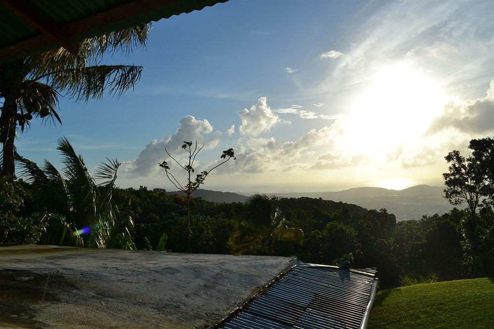 El Hotelito At The Rainforest Experience Farm Fajardo Exterior photo