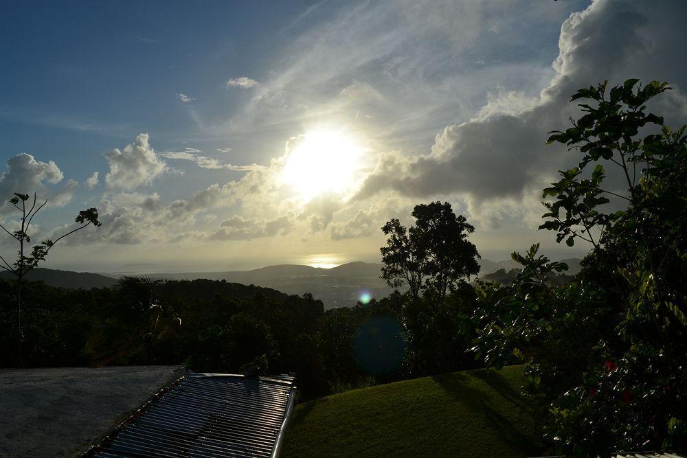 El Hotelito At The Rainforest Experience Farm Fajardo Exterior photo