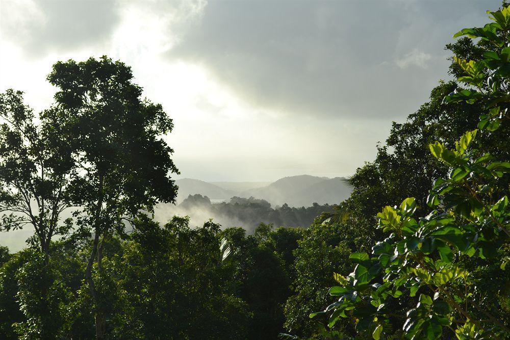 El Hotelito At The Rainforest Experience Farm Fajardo Exterior photo