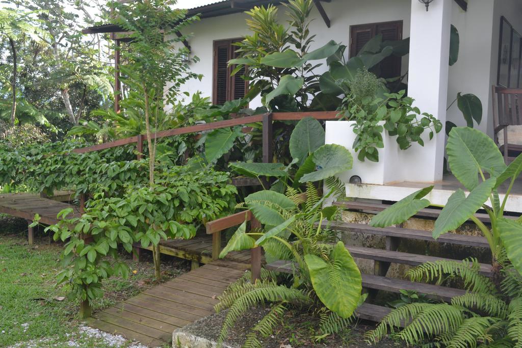 El Hotelito At The Rainforest Experience Farm Fajardo Exterior photo