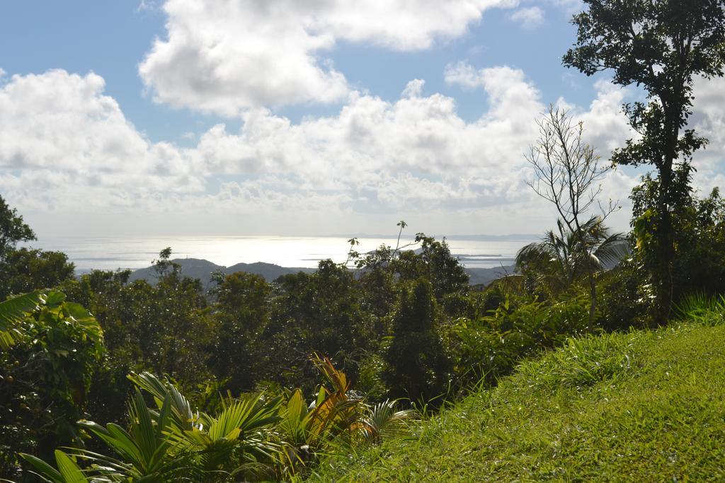 El Hotelito At The Rainforest Experience Farm Fajardo Exterior photo