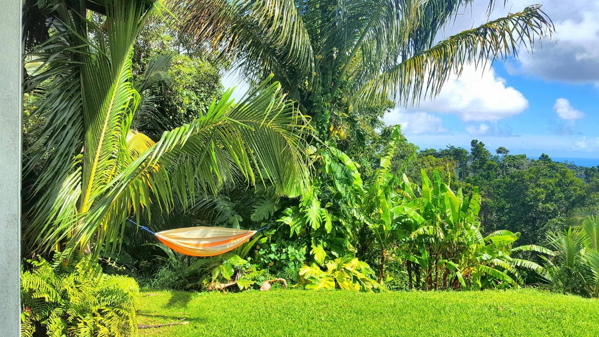 El Hotelito At The Rainforest Experience Farm Fajardo Exterior photo