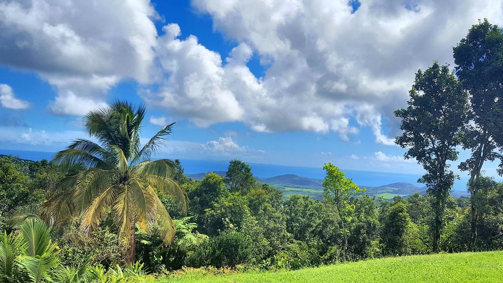 El Hotelito At The Rainforest Experience Farm Fajardo Exterior photo